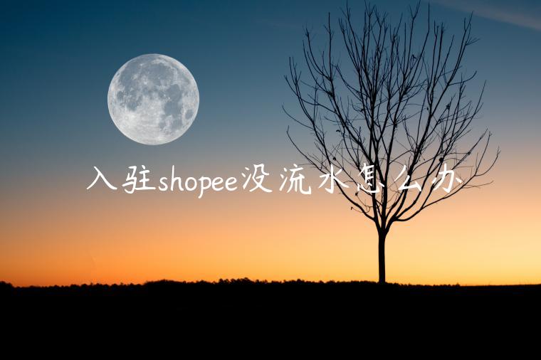 入駐shopee沒流水怎么辦